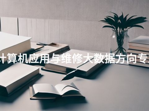 石家庄计算机应用与维修大数据方向专业怎么样