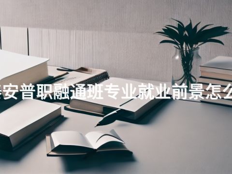 泰安普职融通班专业就业前景怎么样