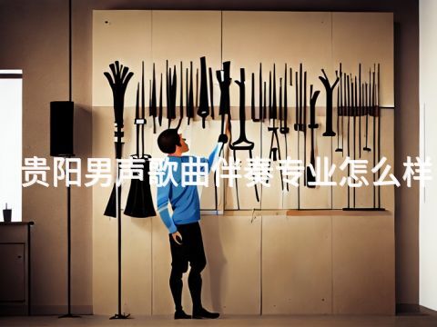 贵阳男声歌曲伴奏专业怎么样