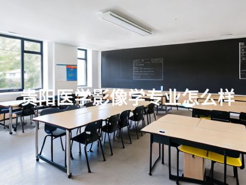 贵阳医学影像学专业怎么样