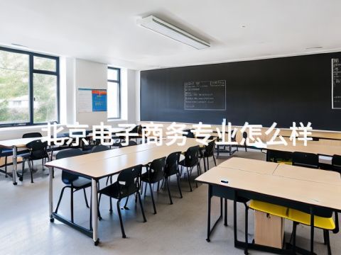 北京電子商務專業怎么樣