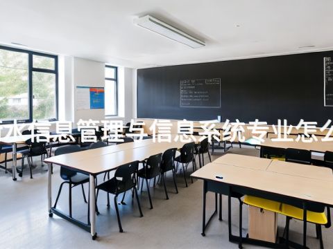 衡水信息管理与信息系统专业怎么样