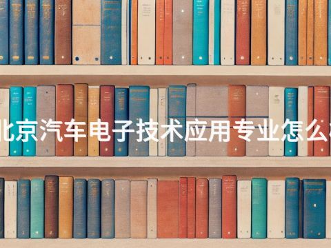 北京汽车电子技术应用专业怎么样(图1) 北京汽车电子技术应用专业怎么样(图1)