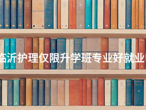 临沂护理仅限升学班专业好就业吗(图1) 临沂护理仅限升学班专业好就业吗(图1)