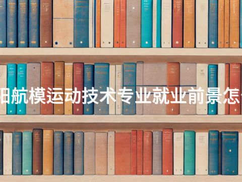 洛阳航模运动技术专业就业前景怎么样(图1) 洛阳航模运动技术专业就业前景怎么样(图1)