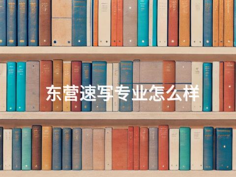 东营速写专业怎么样