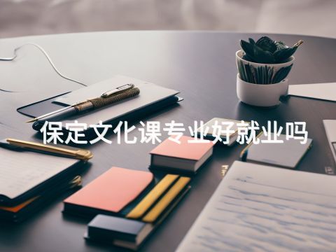 保定文化课专业好就业吗