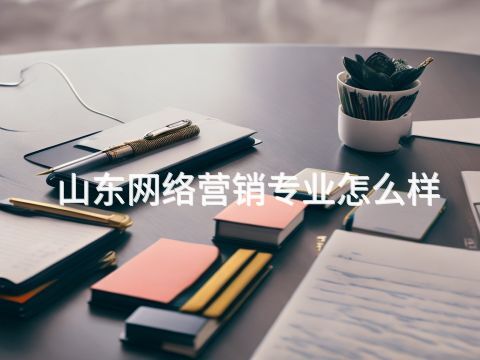 山東網(wǎng)絡(luò)營(yíng)銷(xiāo)專(zhuān)業(yè)怎么樣(圖1) 山東網(wǎng)絡(luò)營(yíng)銷(xiāo)專(zhuān)業(yè)怎么樣(圖1)