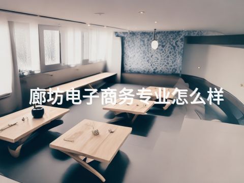 廊坊電子商務(wù)專業(yè)怎么樣