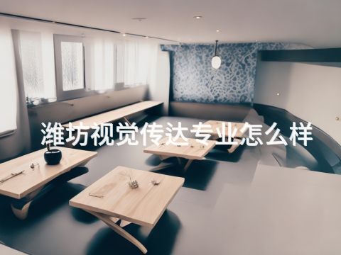 潍坊视觉传达专业怎么样