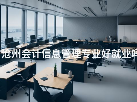 滄州會計信息管理專業(yè)好就業(yè)嗎