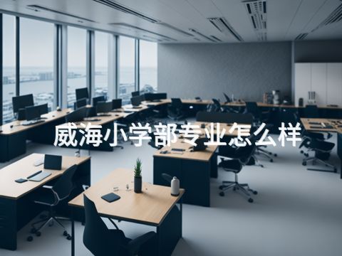 威海小学部专业怎么样