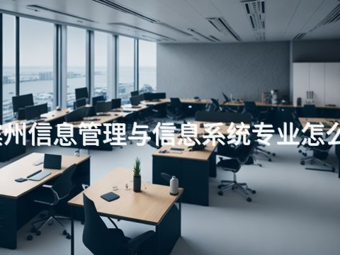 滨州信息管理与信息系统专业怎么样