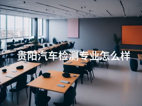 贵阳汽车检测专业怎么样(图1)