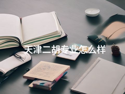 天津二胡专业怎么样(图1) 天津二胡专业怎么样(图1)