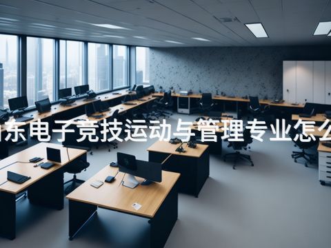 山东电子竞技运动与管理专业怎么样(图1) 山东电子竞技运动与管理专业怎么样(图1)
