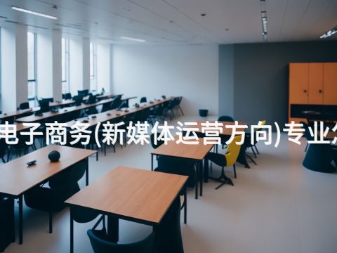 河南電子商務(新媒體運營方向)專業怎么樣