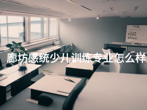 廊坊感统少儿训练专业怎么样