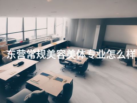 东营常规美容美体专业怎么样