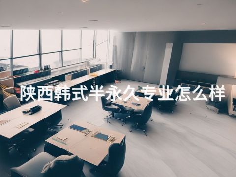 陕西韩式半永久专业怎么样