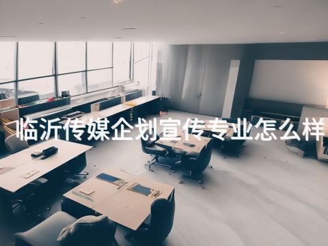 临沂传媒企划宣传专业怎么样