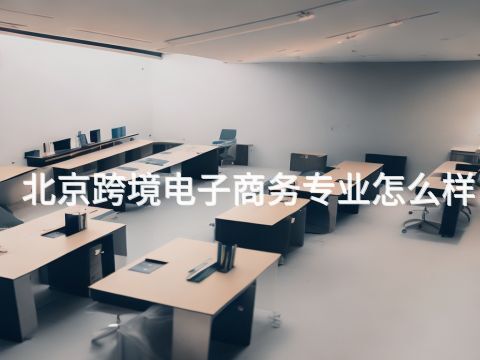 北京跨境电子商务专业怎么样