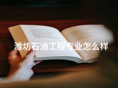 潍坊石油工程专业怎么样