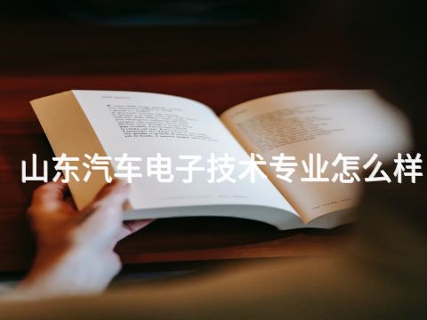 山东汽车电子技术专业怎么样(图1)