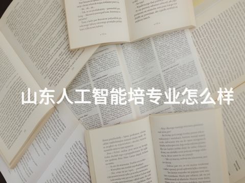 山东人工智能培专业怎么样