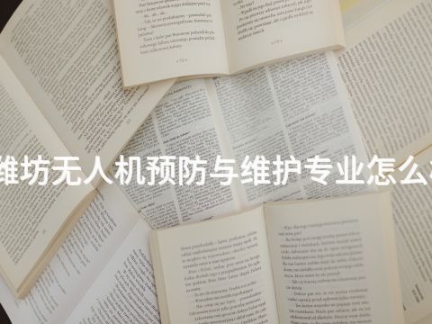 潍坊无人机预防与维护专业怎么样