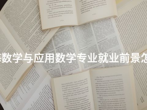 威海数学与应用数学专业就业前景怎么样