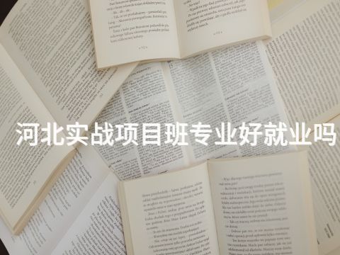 河北实战项目班专业好就业吗