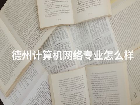 德州计算机网络专业怎么样