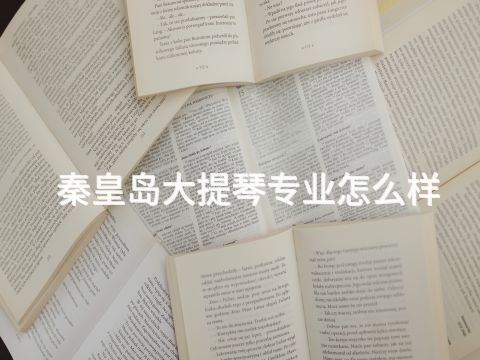秦皇岛大提琴专业怎么样(图1)