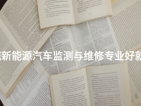 聊城新能源汽车监测与维修专业好就业吗(图1) 聊城新能源汽车监测与维修专业好就业吗(图1)