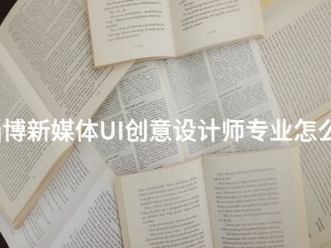 淄博新媒体UI创意设计师专业怎么样