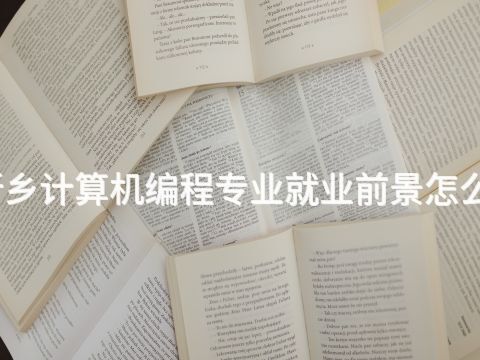 新乡计算机编程专业就业前景怎么样(图1) 新乡计算机编程专业就业前景怎么样(图1)