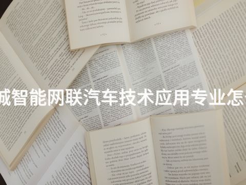 聊城智能网联汽车技术应用专业怎么样