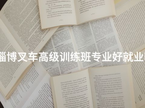 淄博叉车高级训练班专业好就业吗(图1) 淄博叉车高级训练班专业好就业吗(图1)