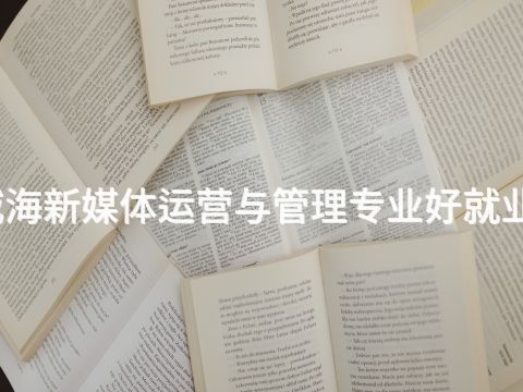 威海新媒体运营与管理专业好就业吗