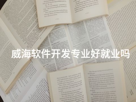 威海软件开发专业好就业吗(图1)