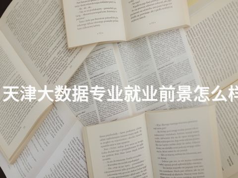天津大数据专业就业前景怎么样(图1) 天津大数据专业就业前景怎么样(图1)