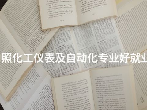 日照化工仪表及自动化专业好就业吗