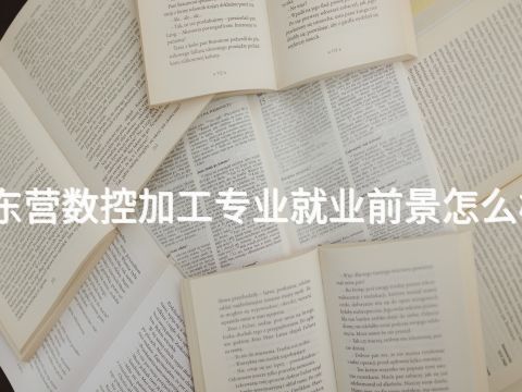 东营数控加工专业就业前景怎么样