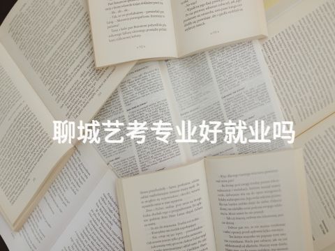 聊城艺考专业好就业吗