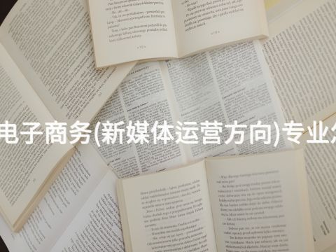 焦作电子商务(新媒体运营方向)专业怎么样