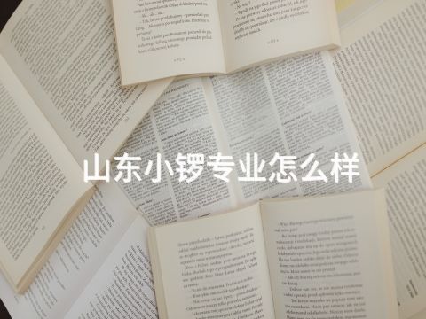 山东小锣专业怎么样(图1) 山东小锣专业怎么样(图1)