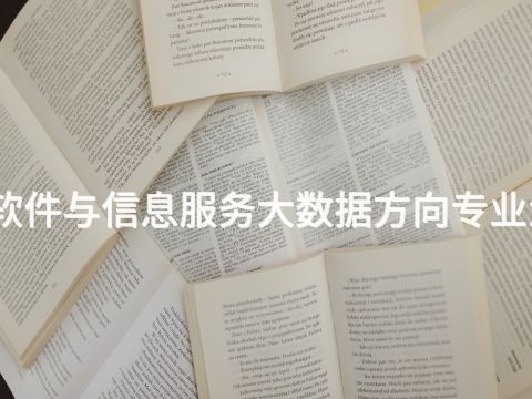 烟台软件与信息服务大数据方向专业怎么样(图1) 烟台软件与信息服务大数据方向专业怎么样(图1)
