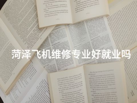 菏泽飞机维修专业好就业吗(图1)