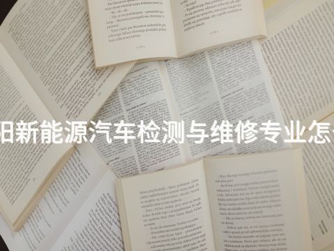 綿陽新能源汽車檢測與維修專業怎么樣